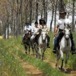 צימרים לפי שעה