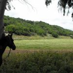 צימרים לפי שעה