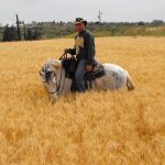 צימרים לפי שעה